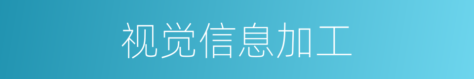 视觉信息加工的同义词