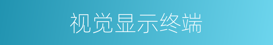 视觉显示终端的同义词
