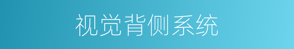 视觉背侧系统的同义词