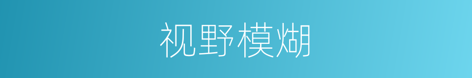 视野模煳的同义词