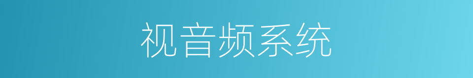 视音频系统的同义词