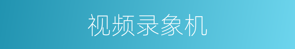 视频录象机的同义词