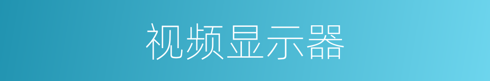 视频显示器的同义词