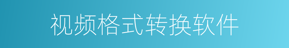 视频格式转换软件的同义词