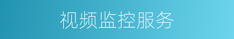 视频监控服务的同义词