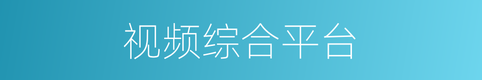 视频综合平台的同义词