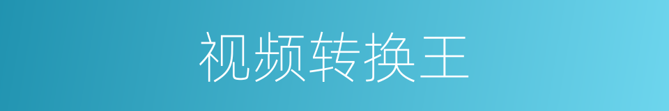 视频转换王的同义词