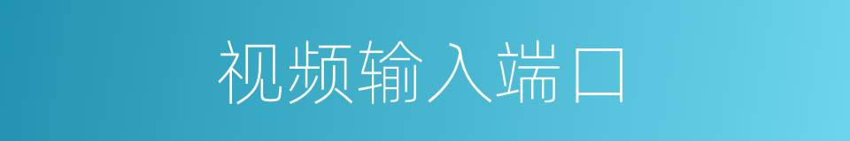 视频输入端口的同义词