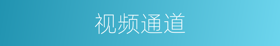 视频通道的同义词
