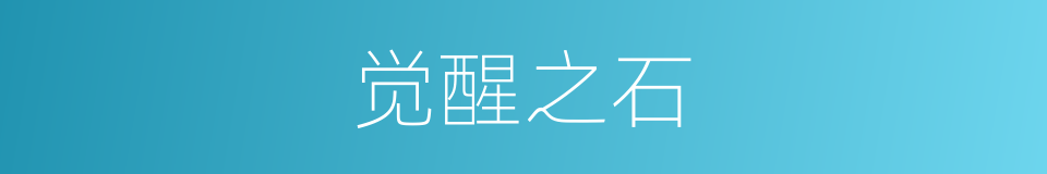 觉醒之石的同义词