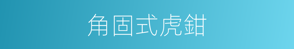 角固式虎鉗的同義詞