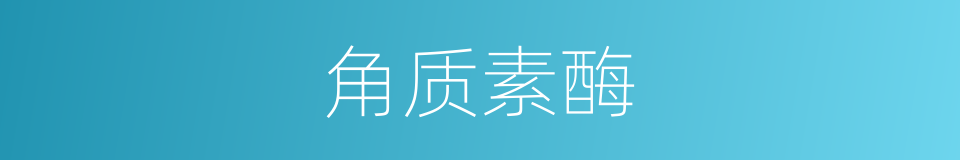 角质素酶的同义词