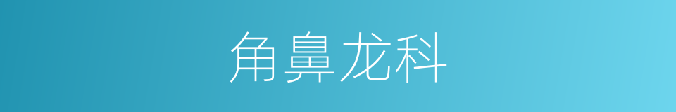 角鼻龙科的同义词