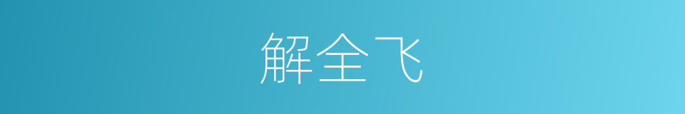 解全飞的同义词