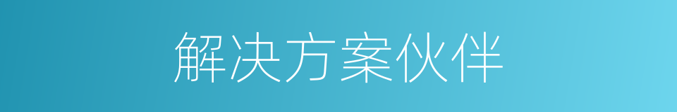 解决方案伙伴的同义词