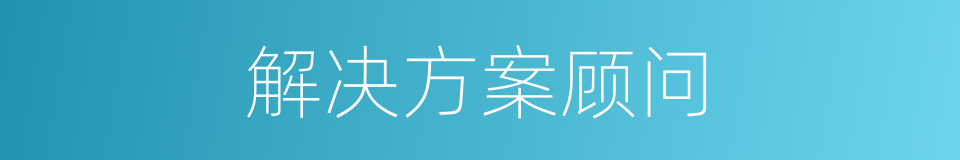 解决方案顾问的同义词
