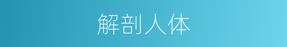 解剖人体的同义词