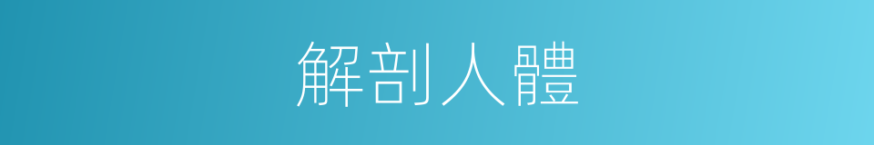解剖人體的同義詞