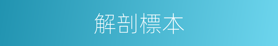 解剖標本的同義詞
