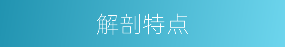 解剖特点的同义词