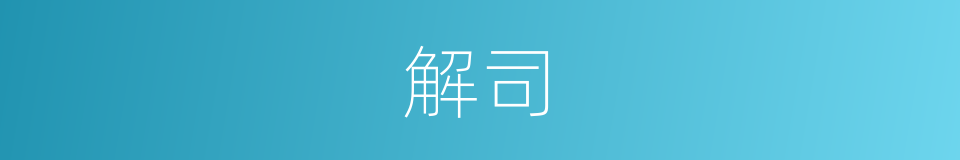 解司的同义词