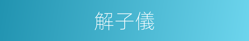 解子儀的同義詞