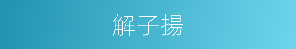 解子揚的同義詞