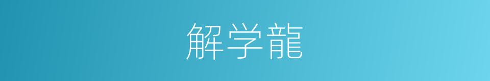 解学龍的同義詞