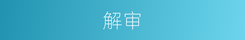 解审的意思