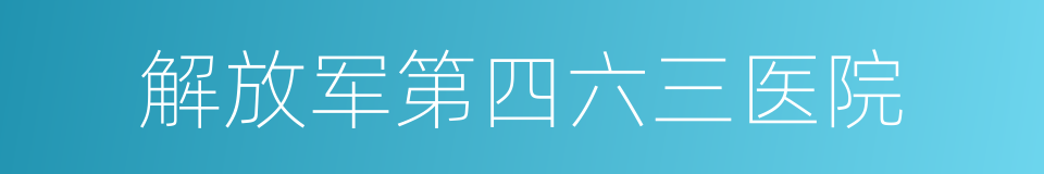 解放军第四六三医院的同义词