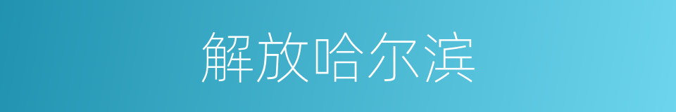 解放哈尔滨的同义词