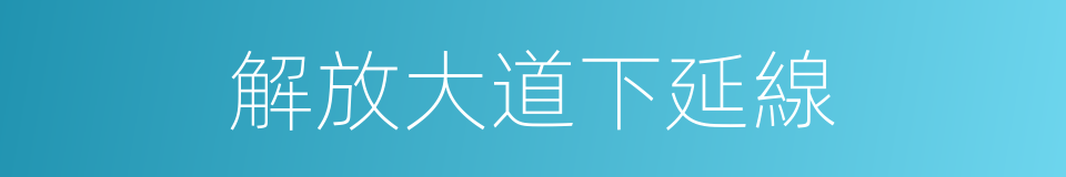 解放大道下延線的同義詞