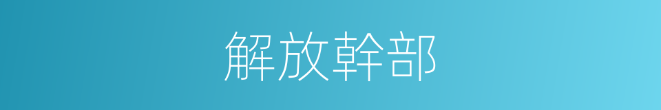 解放幹部的同義詞