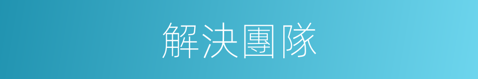 解決團隊的同義詞