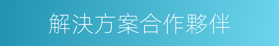 解決方案合作夥伴的同義詞
