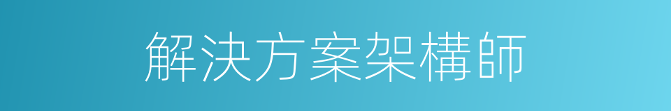 解決方案架構師的同義詞