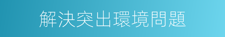 解決突出環境問題的同義詞