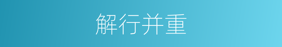 解行并重的同义词