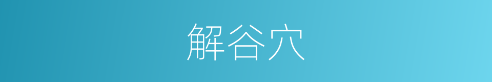解谷穴的意思