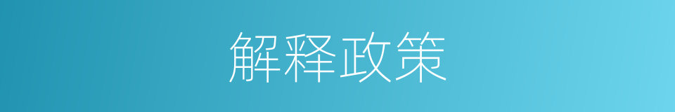 解释政策的意思