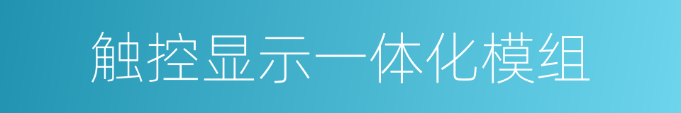 触控显示一体化模组的同义词