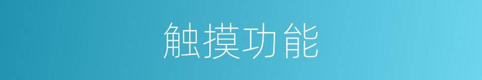 触摸功能的同义词