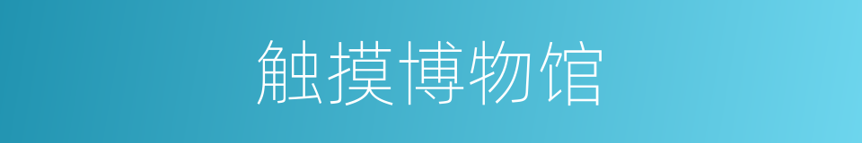 触摸博物馆的同义词