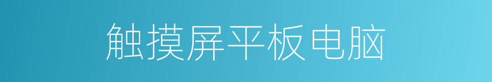 触摸屏平板电脑的同义词