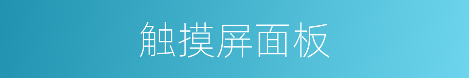 触摸屏面板的同义词