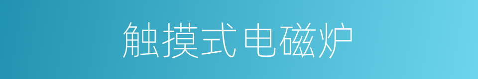 触摸式电磁炉的同义词