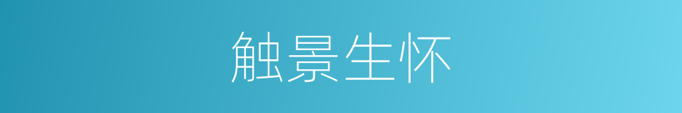 触景生怀的意思