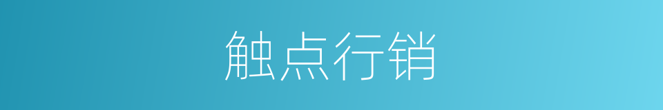 触点行销的意思
