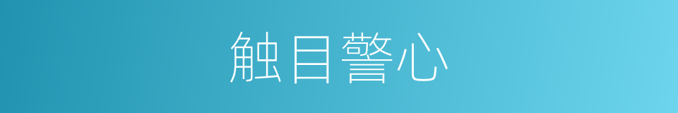 触目警心的意思