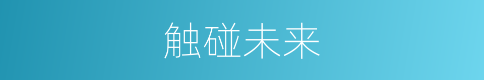 触碰未来的同义词